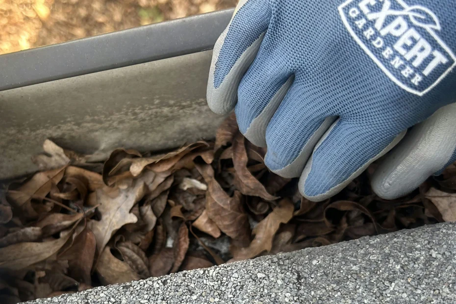 Gutter Cleaning Holly Springs GA