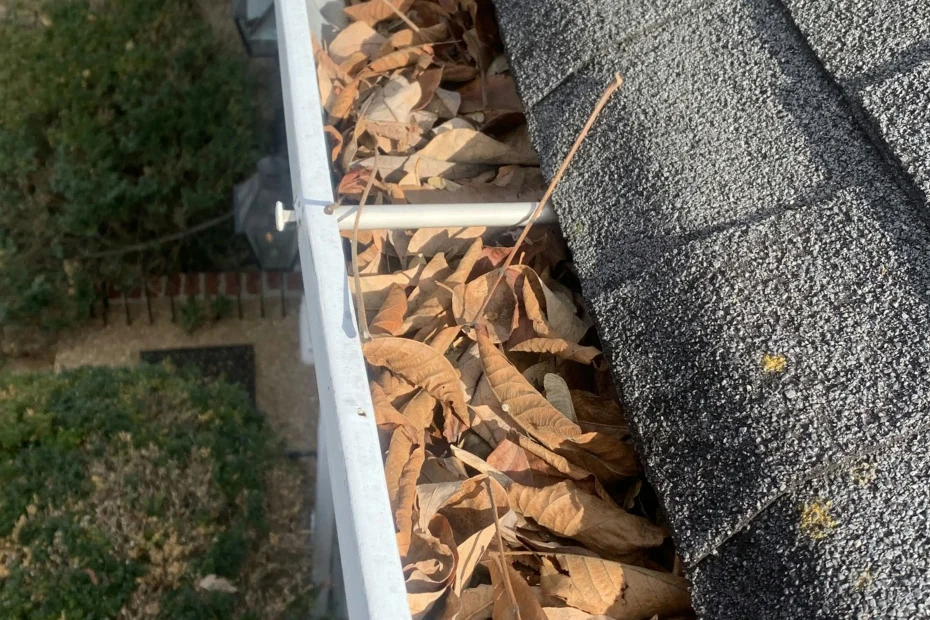 Gutter Cleaning Holly Springs GA