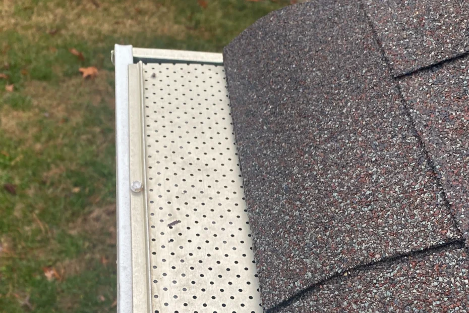 Gutter Cleaning Holly Springs GA