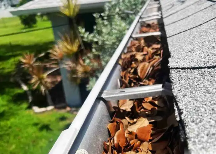 Gutter Cleaning Holly Springs GA home page